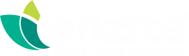 logo-enzita